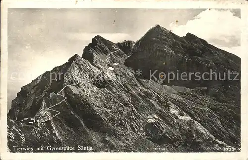 Saentis AR Tierwis mit Gyrenspitze Kat. Saentis