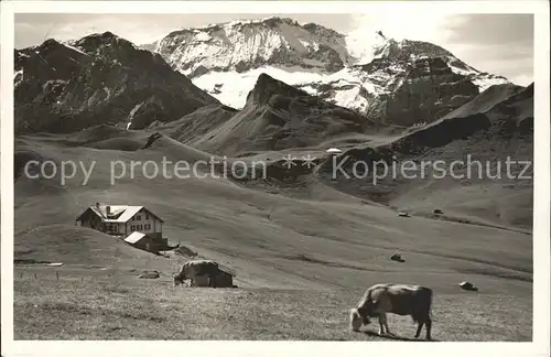 Hahnenmoos mit Wildstrubel / Hahnenmoospass /Rg. Lenk