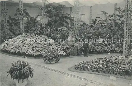 Gand Belgien Exposition de 1913 Floralies Gantoises Fleurs Kat. Gent Flandern