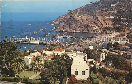 Catalina Island Avalon Bay Habor Steamer