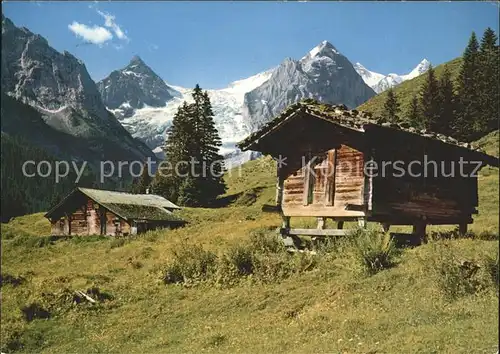 Rosenlaui BE Gr Scheidegg Kaltenbrunnenalp mit Wetterhorngruppe Kat. Rosenlaui