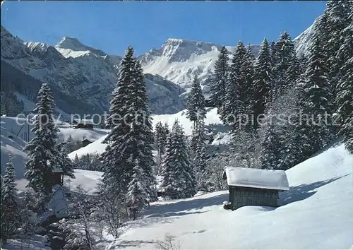 Adelboden Muehleweidli mit Steghorn und Wildstrubel Kat. Adelboden