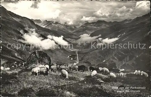 Furkastrasse mit Oberalp Schafherde / Furka /Rg. Gletsch