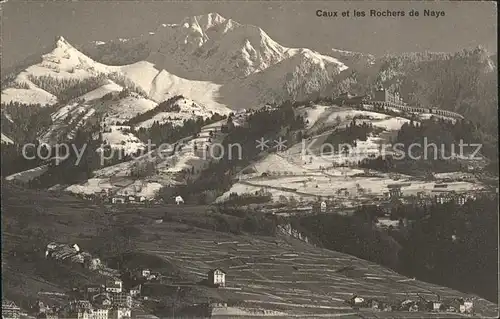 Caux VD et les Rochers de Naye Kat. Caux