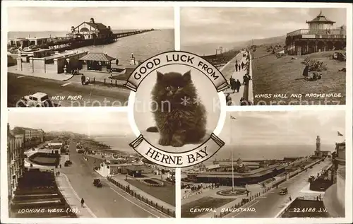 Herne Bay Pier Kings Hall Promenade Central Bandstand Cat Valentine's Post Card / City of Canterbury /