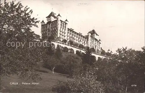 Caux VD Palace Hotel Kat. Caux