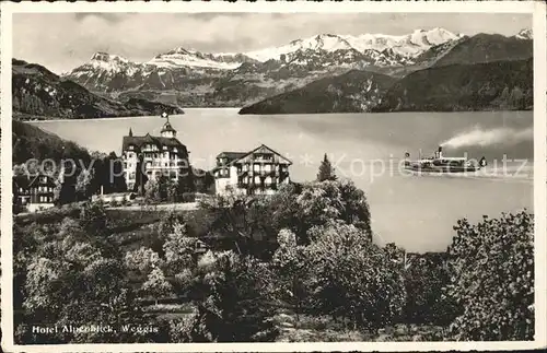 Weggis LU Hotel Alpenblick Dampfer Panorama Kat. Weggis