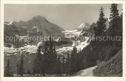 Muerren BE Breithorn Tschingelhorn Kat. Muerren