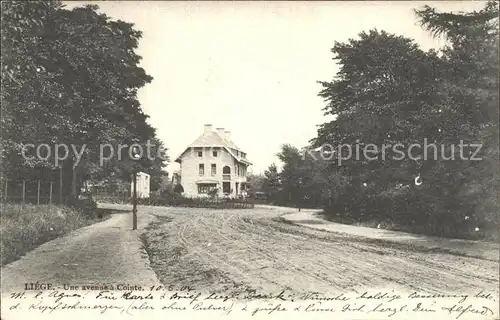 Liege Luettich Une avenue Cointe / Luettich /Provinde Liege Luettich