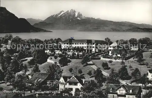 Weggis LU mit Pilatus und COOP Ferienheim Kat. Weggis