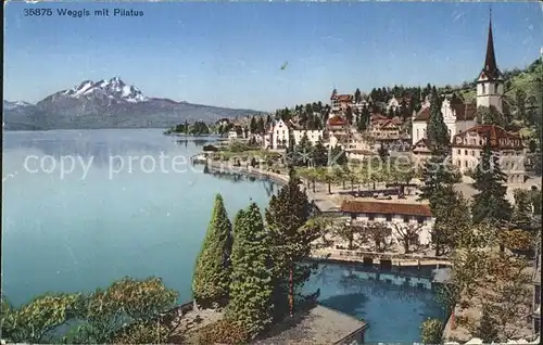 Weggis LU Ortsansicht Vierwaldstaettersee Pilatus Kat. Weggis