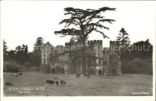 Acton Burnell Castle Animals Cow Horse