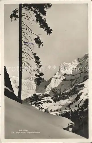 Adelboden Am Weg nach Stiegelschwand Kat. Adelboden