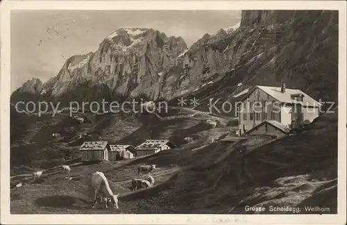 Grindelwald Gr Scheidegg mit Wellhorn Kat. Grindelwald