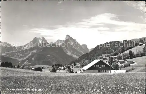 Saanenmoeser Hornberg Panorama Kat. Saanenmoeser