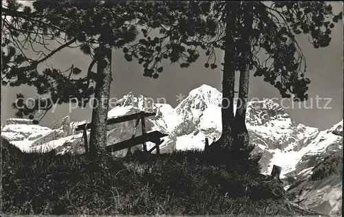 Kandersteg BE Blick von der Hoeh auf Bluemlisalp Kat. Kandersteg