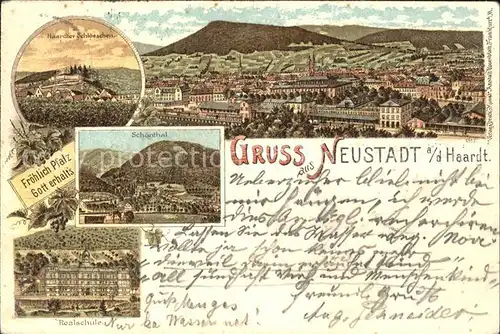 Neustadt Haardt Gesamtansicht Schloesschen Schoenthal Realschule Kat. Neustadt an der Weinstr.