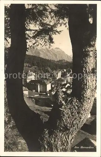 San Bernardino GR Blick durch Astgabel Kat. Mesocco