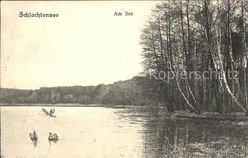 Schlachtensee Schwaene  Kat. Berlin