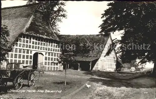 Lueneburger Haide Alter Bauernhof Kat. Walsrode