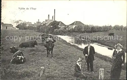 Vallee de l Yser Dorf Partie am Bach Viehweide Kuehe