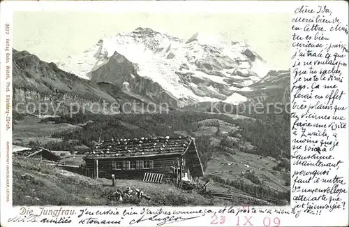Jungfrau BE mit Berghuette / Jungfrau /Rg. Finsteraarhorn