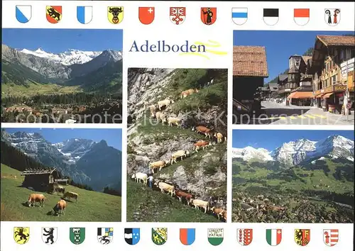 Adelboden  Kat. Adelboden