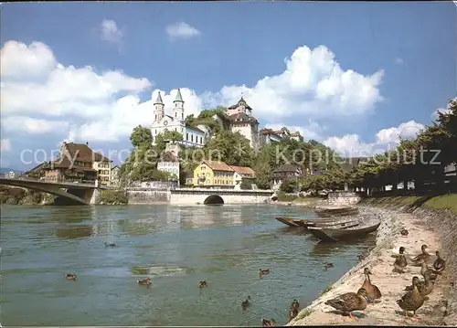 Aarburg AG Enten Boote Bruecke Kat. Aarburg