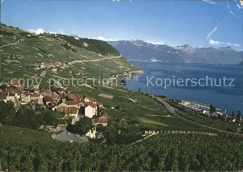 Lavaux VD La Corniche vue generale Kat. 