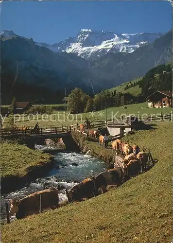 Adelboden Zueglete am Engstigbach mit Wildstrubel Kat. Adelboden