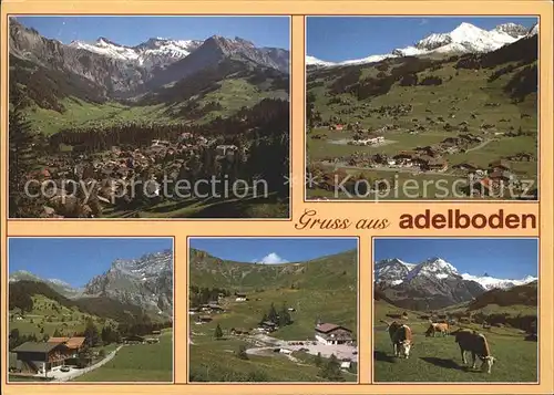 Adelboden Panorama Orts und Teilansichten Kat. Adelboden