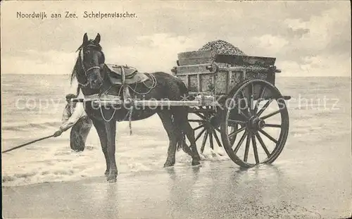 Noordwijk aan Zee  Schelpenvisscher Pferdekarren Kat. Noordwijk