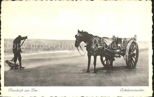 Noordwijk aan Zee  Schelpenvisscher Pferdekarren Kat. Noordwijk