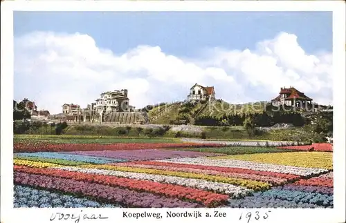 Noordwijk aan Zee  Koepelweg Blumenfeld Kat. Noordwijk