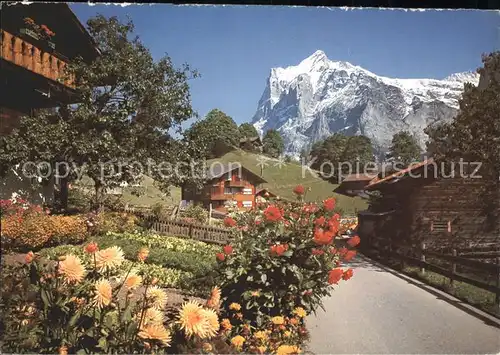 Grindelwald Wetterhorn Kat. Grindelwald