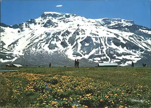 Adelboden Engstligenalp mit Wildstrubel Kat. Adelboden