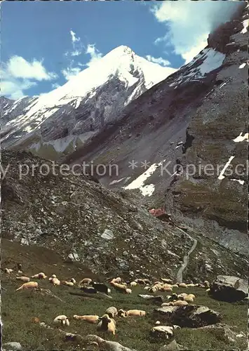 Kandersteg BE mit Berghotel Schwarzenbach Gemmipass Altels Kat. Kandersteg