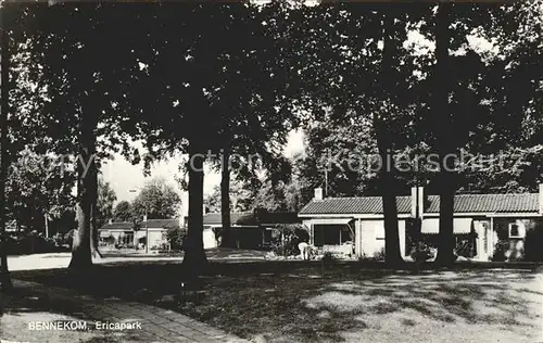 Bennekom Ericapark Kat. Niederlande