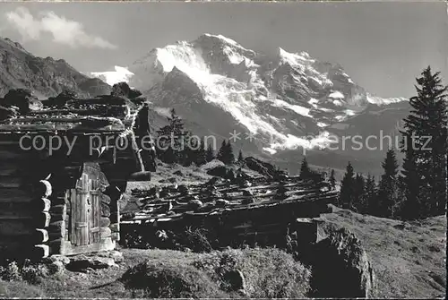 Wengen BE Berghuetten mit Jungfrau Kat. Wengen