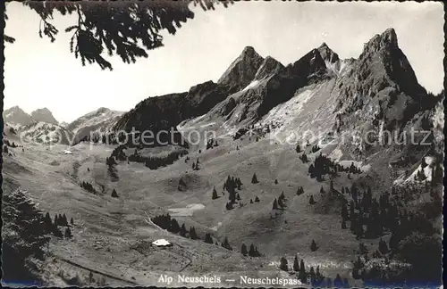 Herisau AR Alp Neuschels Neuschelspass Kat. Herisau