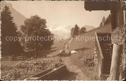 Adelboden Bauernhaus Kat. Adelboden