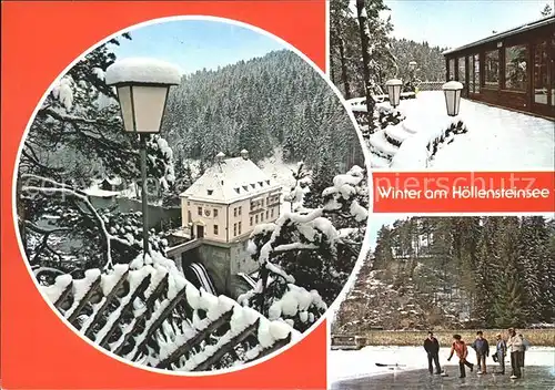 Hoellensteinsee Ausflugsgaststaette Seeblick Eisbahn Kat. Viechtach