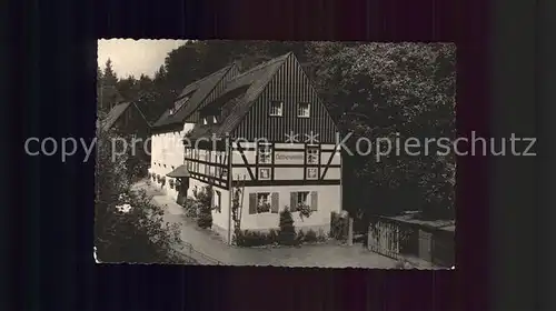 Kleinhennersdorf Waldidyll Liethenmuehle Kat. Gohrisch