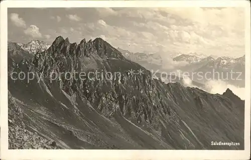 Wald Arlberg Saladinenspitzen Kat. Arlberg