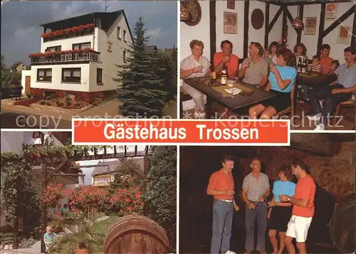 Kroev Mosel Gaestehaus Weingut Reinhard Trossen / Kroev /Bernkastel-Wittlich LKR