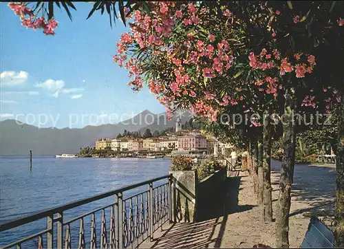 Bellagio Lago di Como See Strandpromenade 