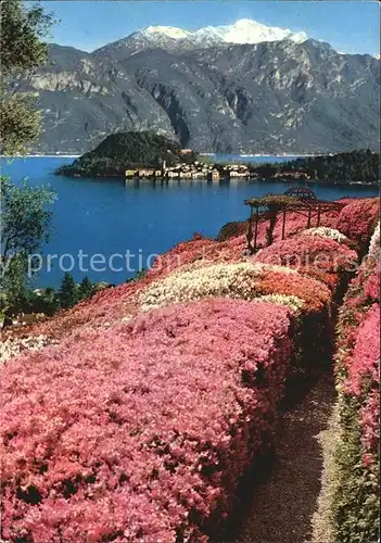 Bellagio Lago di Como See Grigne