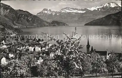 Weggis LU mit Vierwaldstaettersee Kat. Weggis