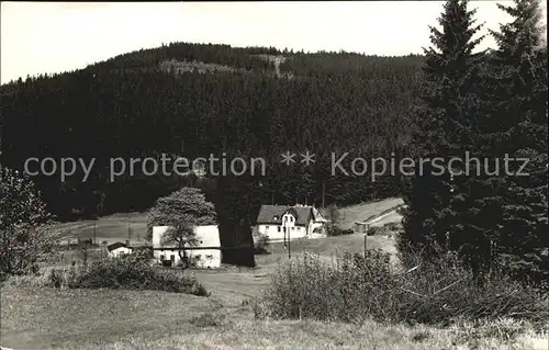 Schnarrtanne Die Hahnenhaeuser Kat. Auerbach