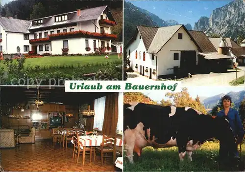 Tragoess Urlaub auf dem Bauernhof / Tragoess /oestliche Obersteiermark